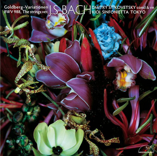 亚洲欧美色国产综合
